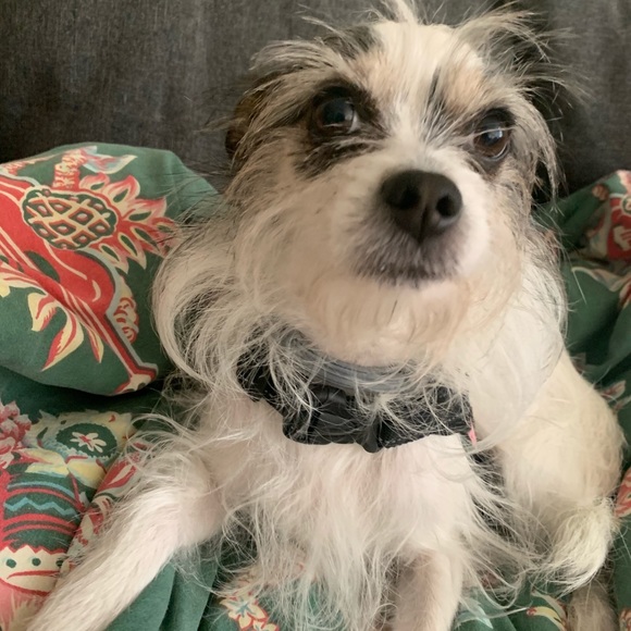 Meet Your Posher! - Picture 4 of 4